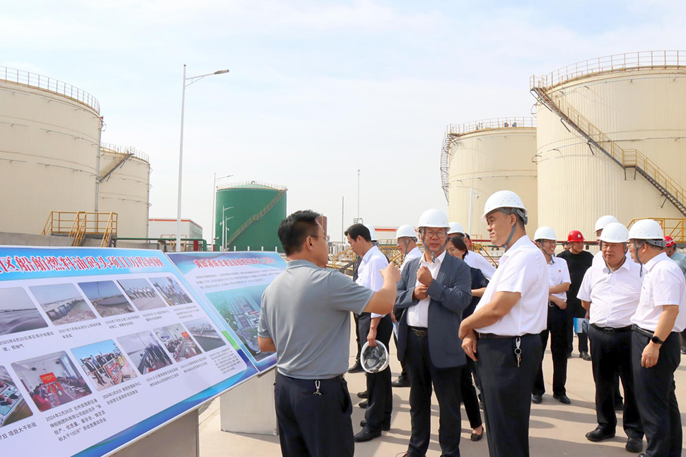 沧州交发集团党委副书记、总经理王澎调研港区码头项目建设